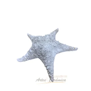 Estrella de mar marmolina
