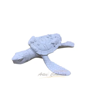 Tortuga de mar marmolina